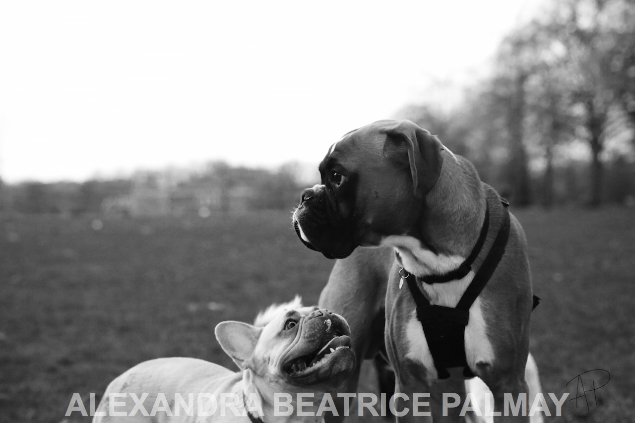 Ollie and George