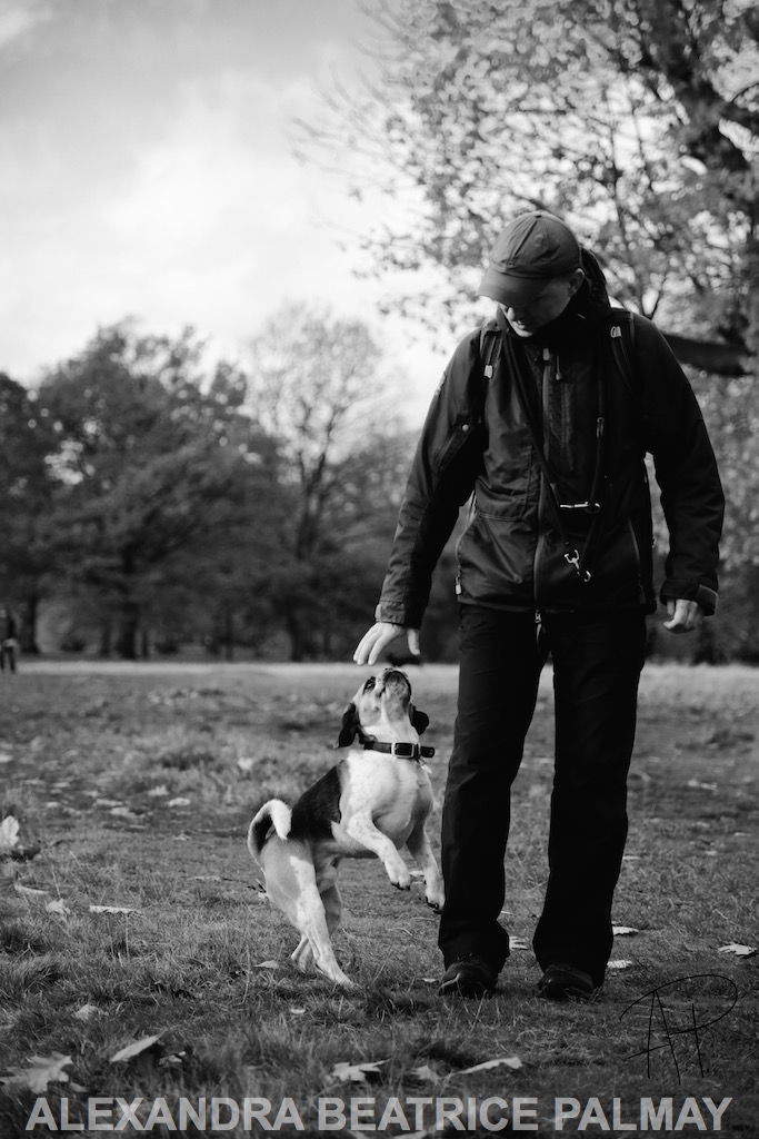 Pavel and Humphrey
