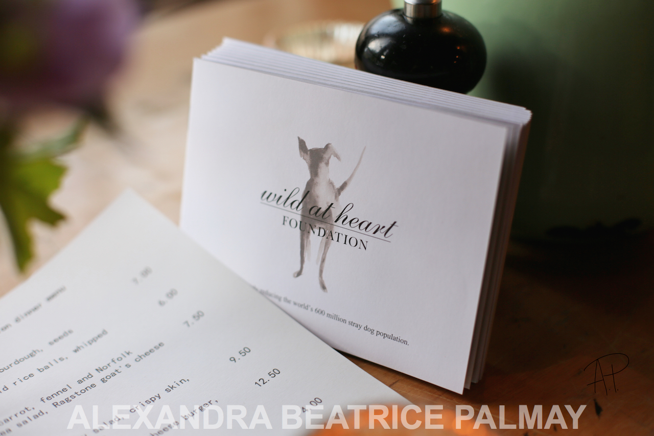 Wild at Heart Foundation