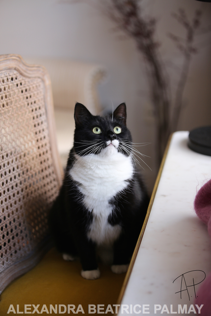 Nina