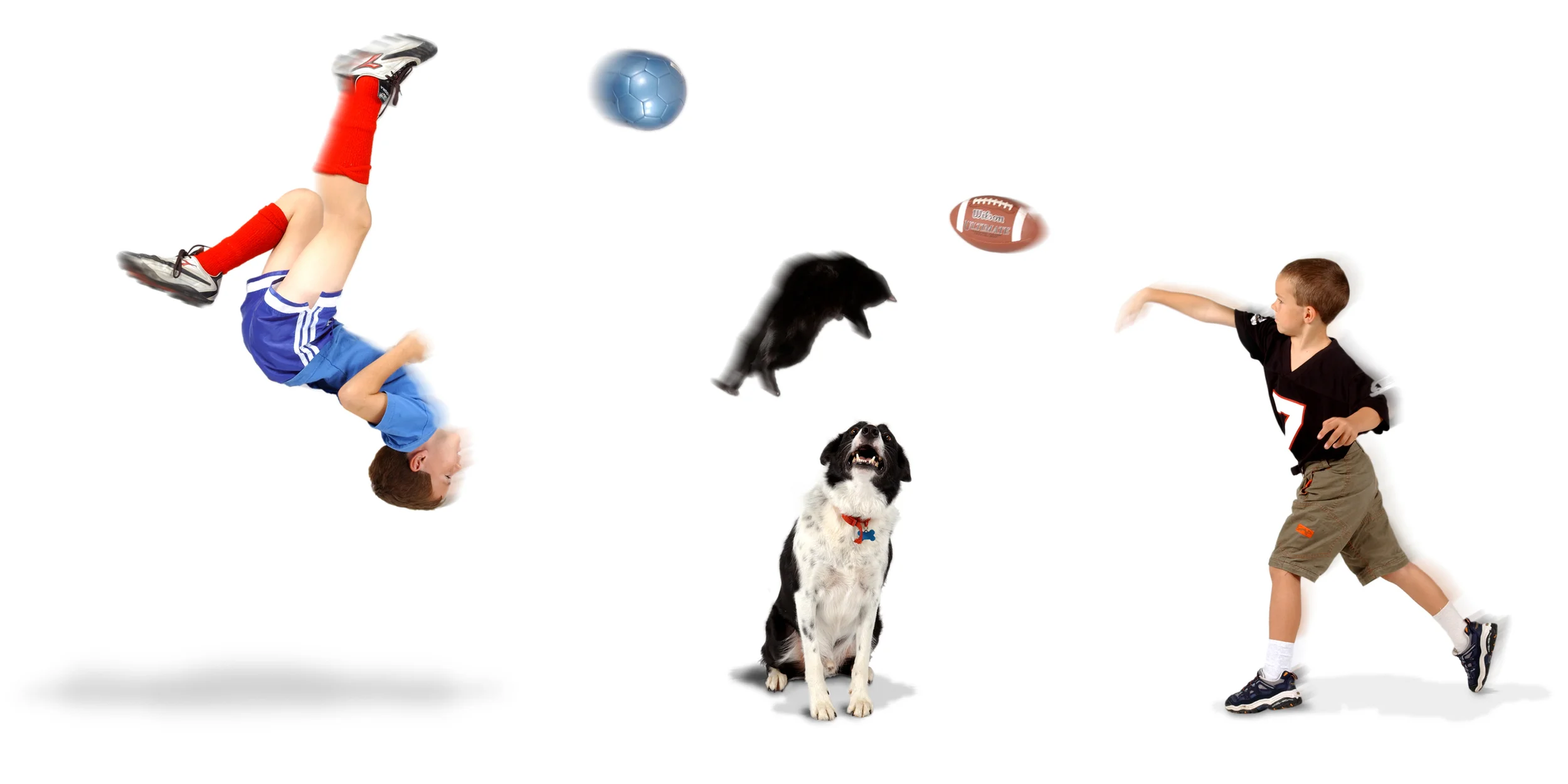Children and Pets at Play.jpg