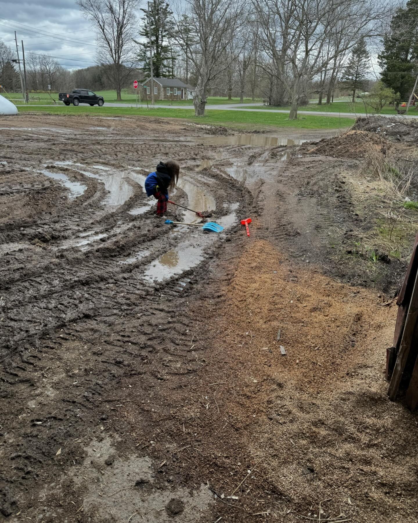 It&rsquo;s wet and cold and muddy outside. So why not make the best of it like Quinn did?? Come out to our little store and grab some steaks, short ribs, pork chops, sausage, and ground beef! Yes we have ground beef, but come early before it&rsquo;s 