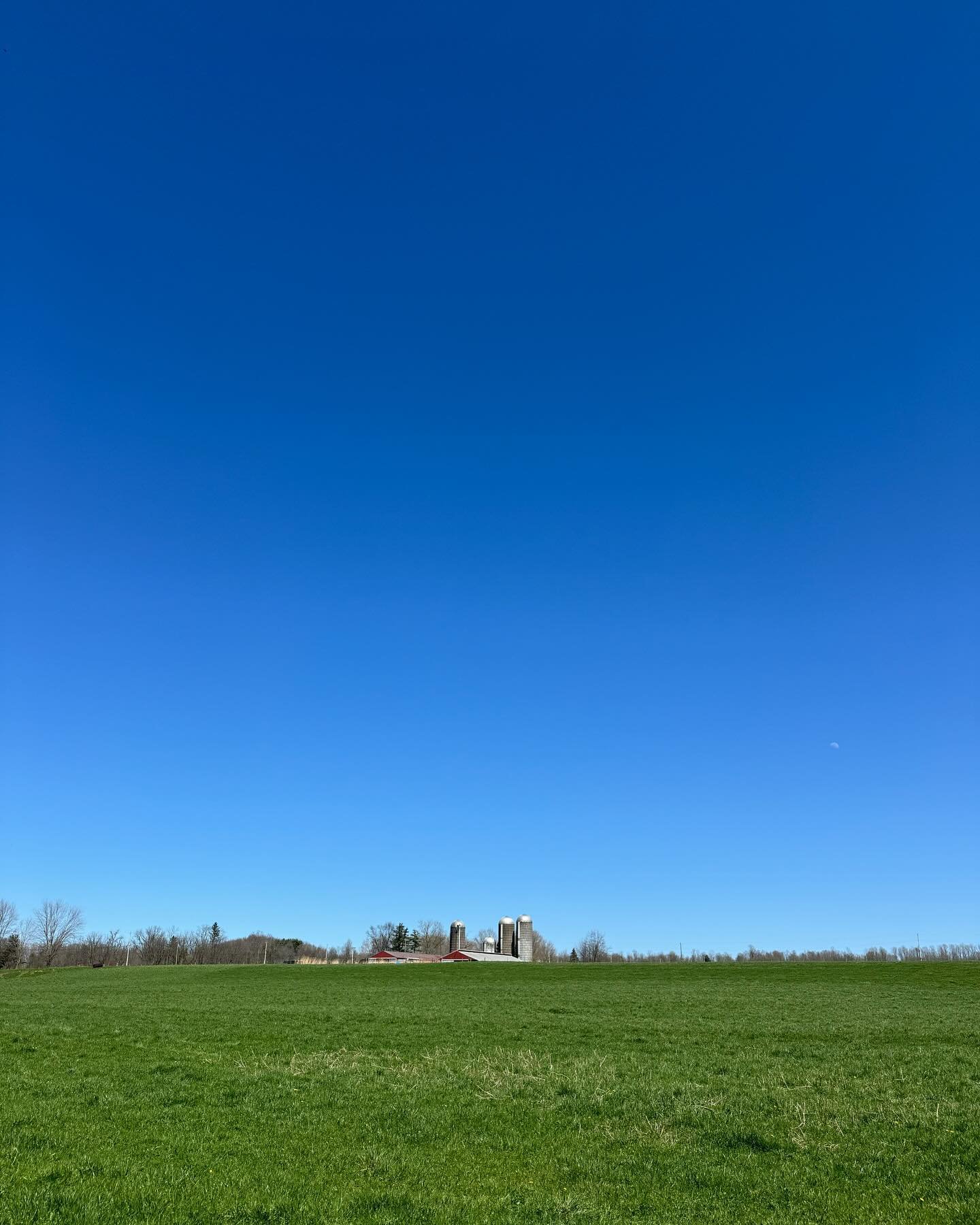 Blue skies,
Smiling at me,
Nothing but blue skies,
Do I see.