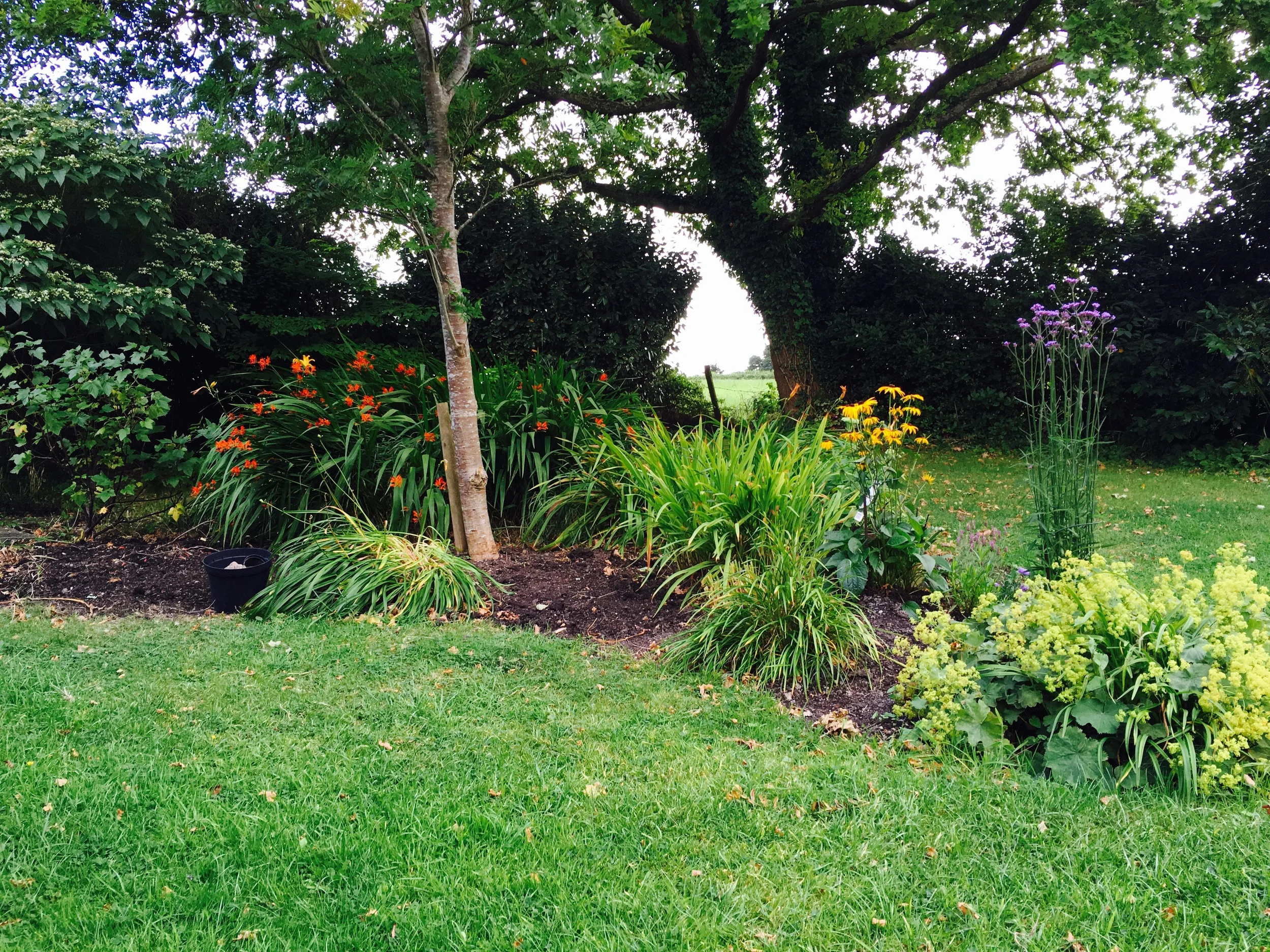 Fitness tips for gardening