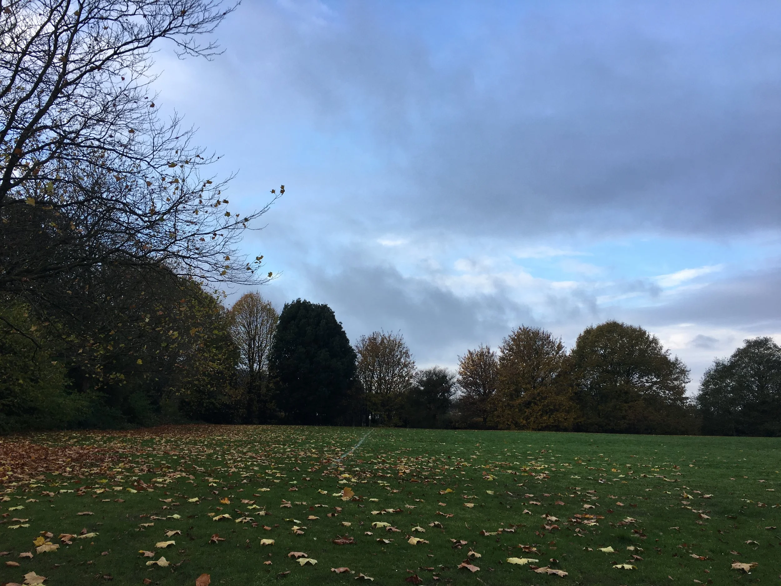 Why it's good to get outside in the winter