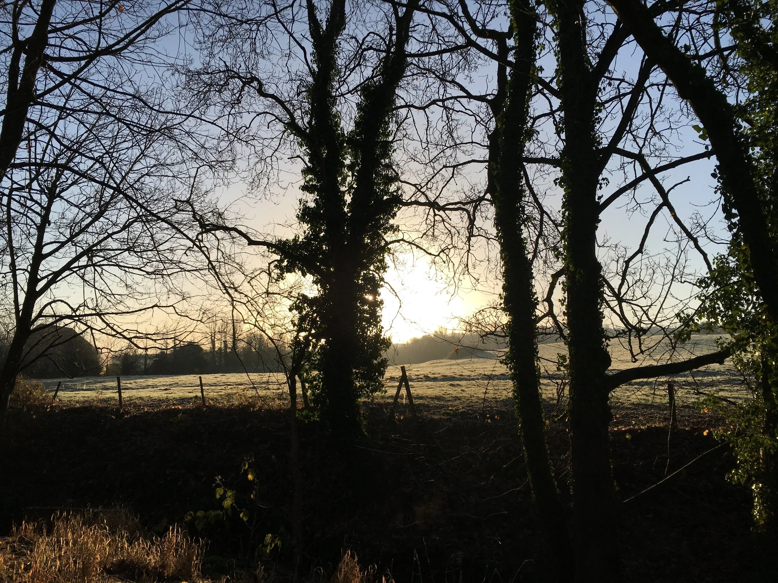 Every day is a brand new day