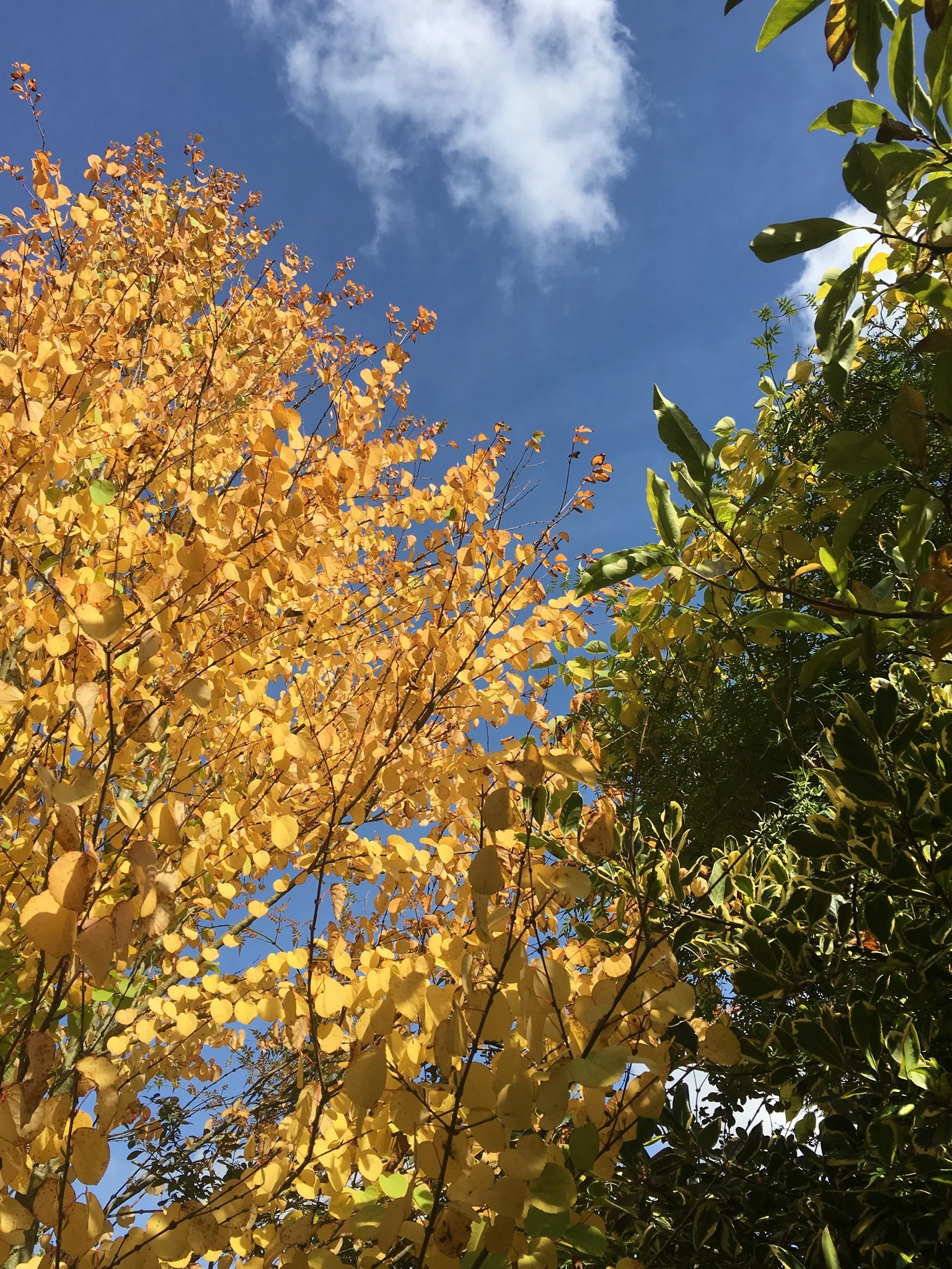 Embrace the changing seasons