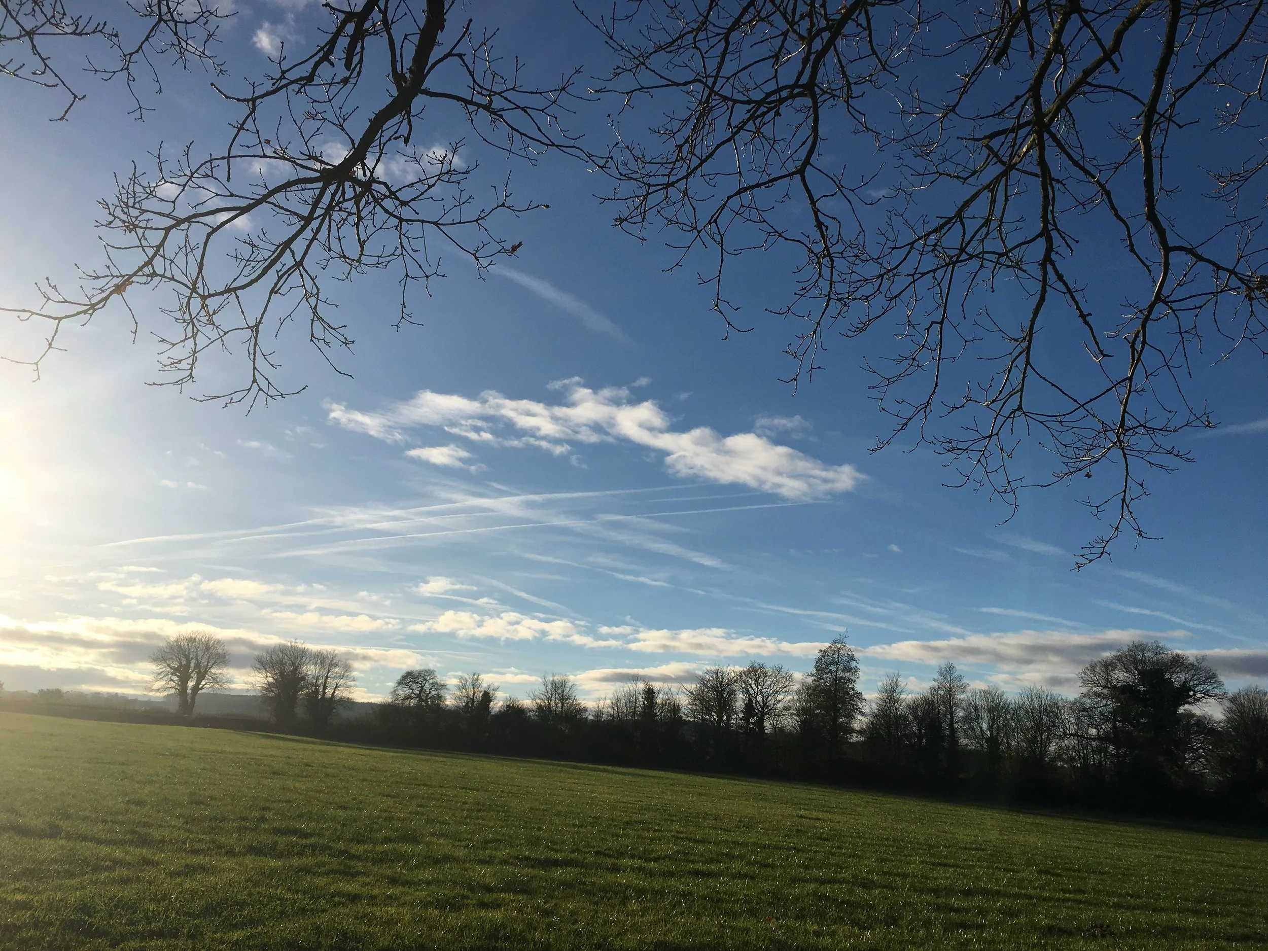 The best exercise to do outside 
