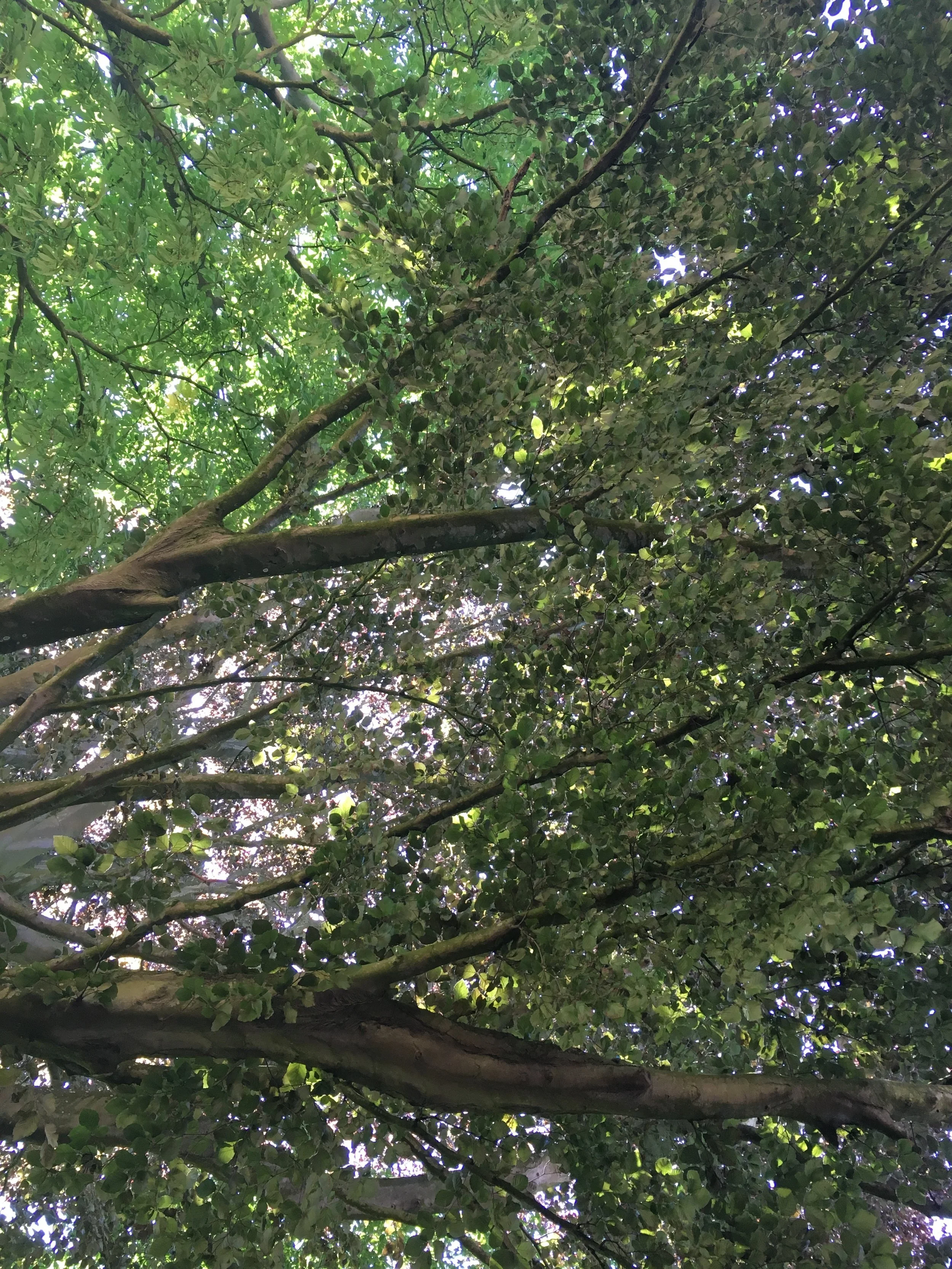 Stay cool in hot weather