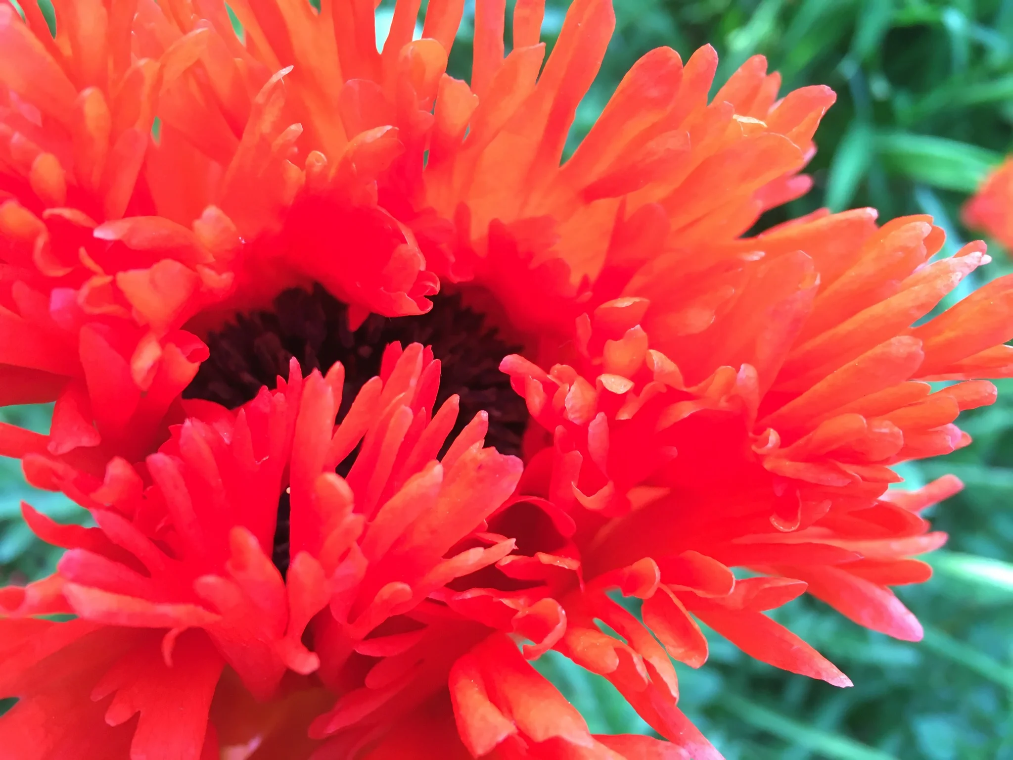 When menstruation isn't a curse