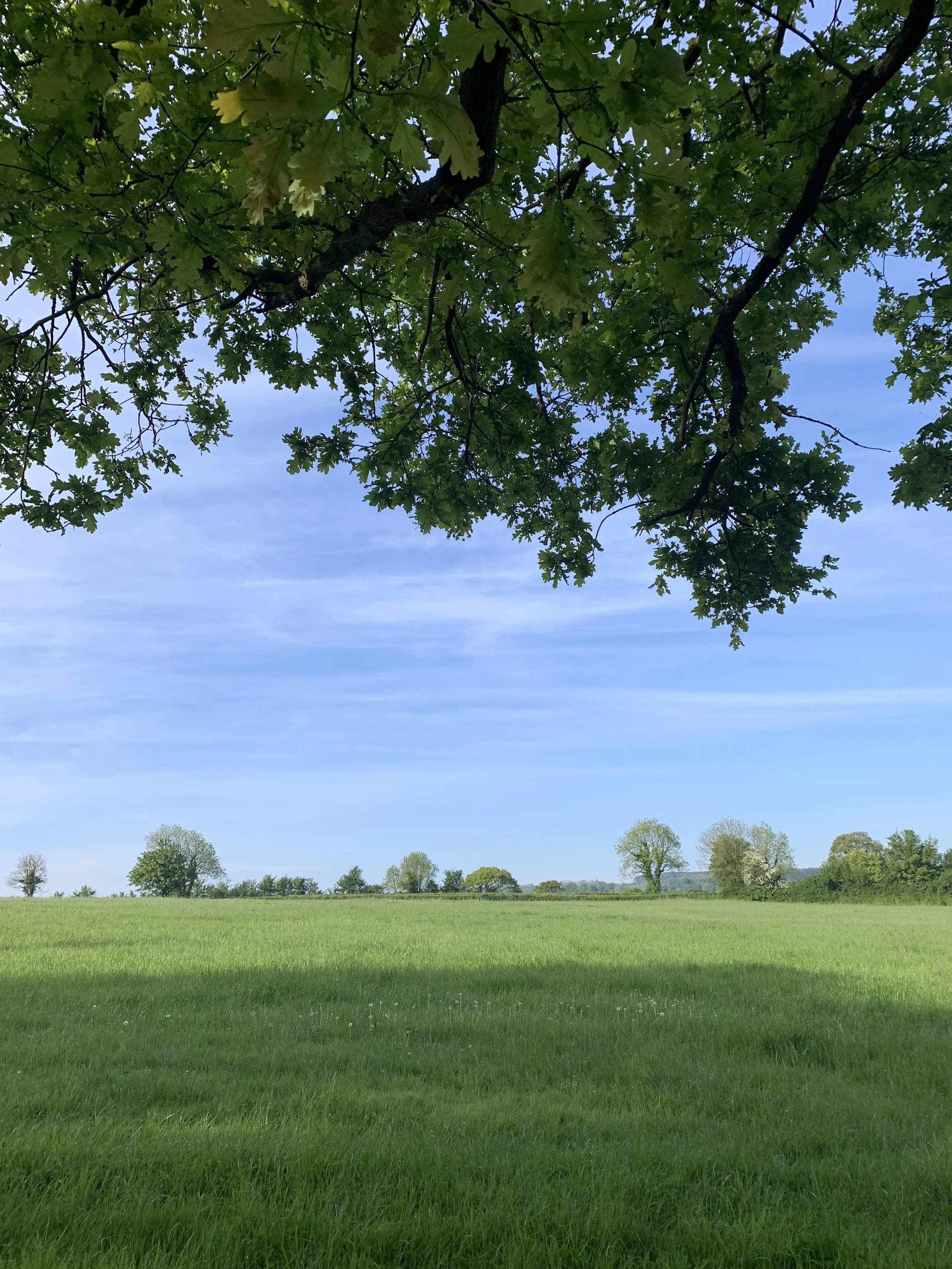 Create a vision for a happy summer this half term