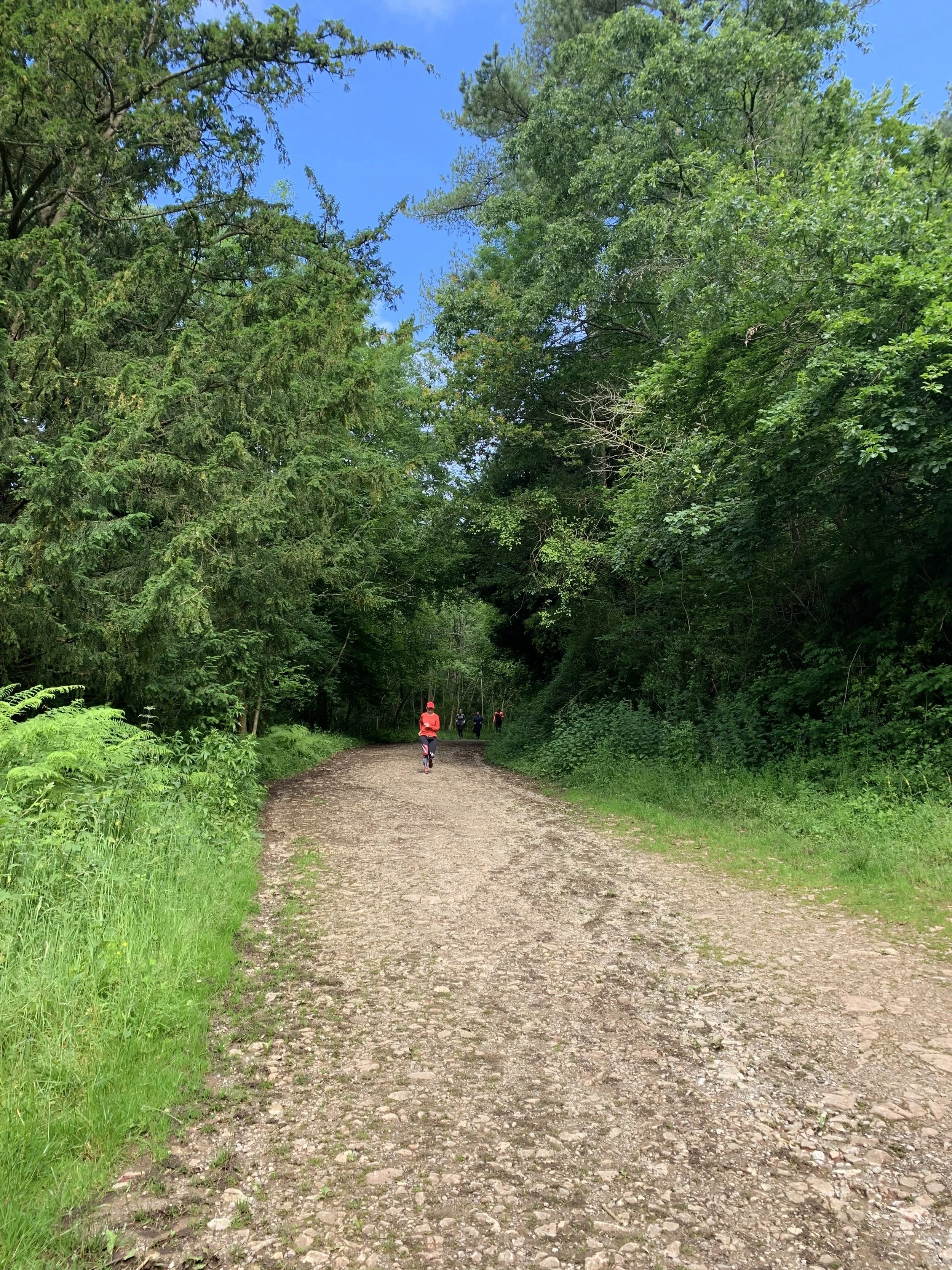 Lessons from an injury