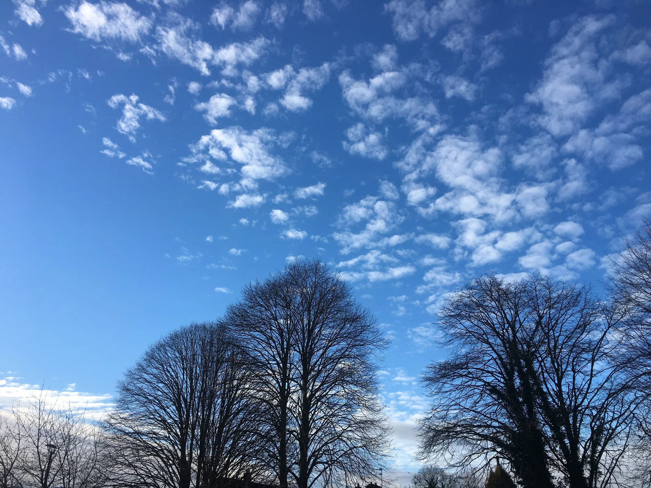 Making the most of the winter