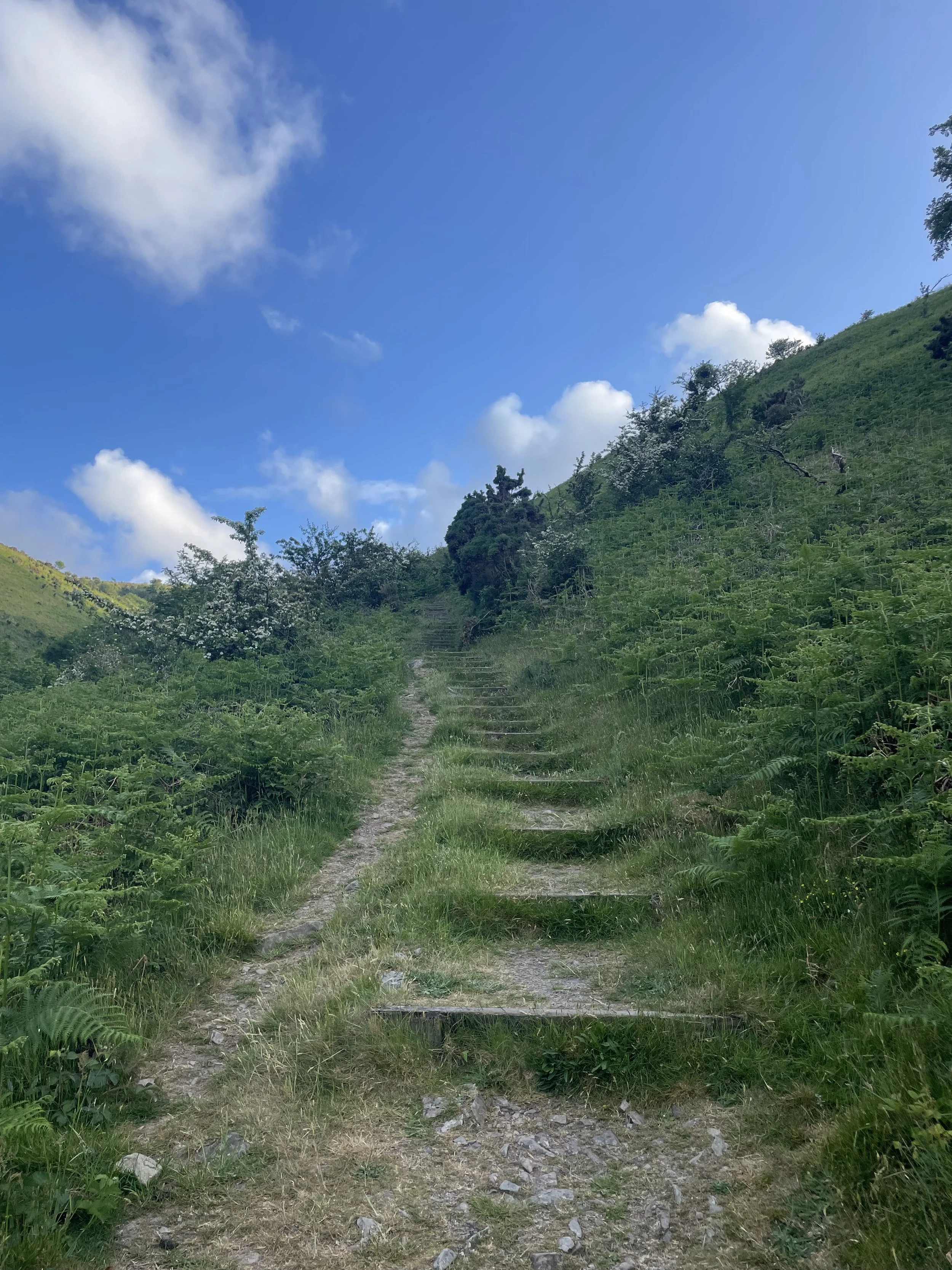 Movement as rest, rest as movement 