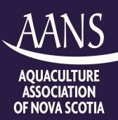 AANS logo.jpg