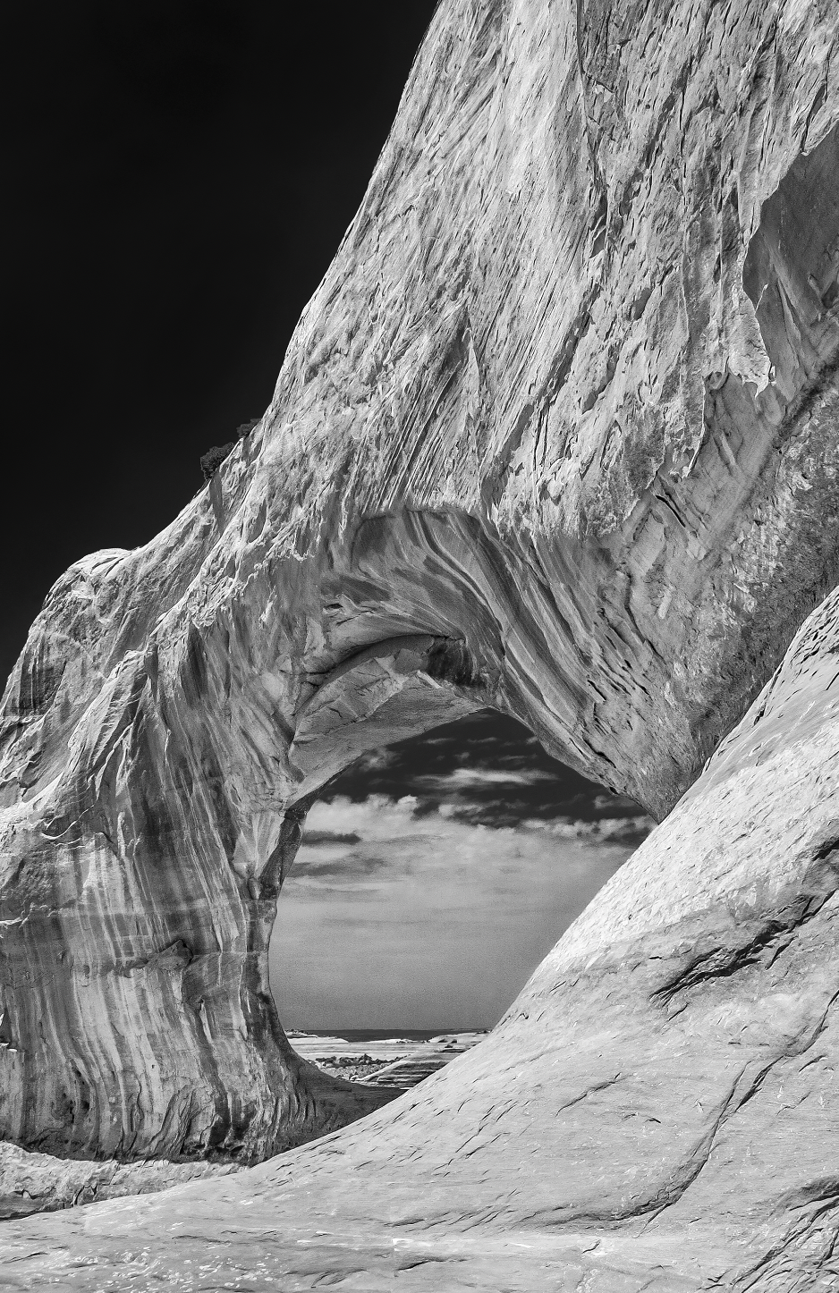 David W Brown: Landscape Image