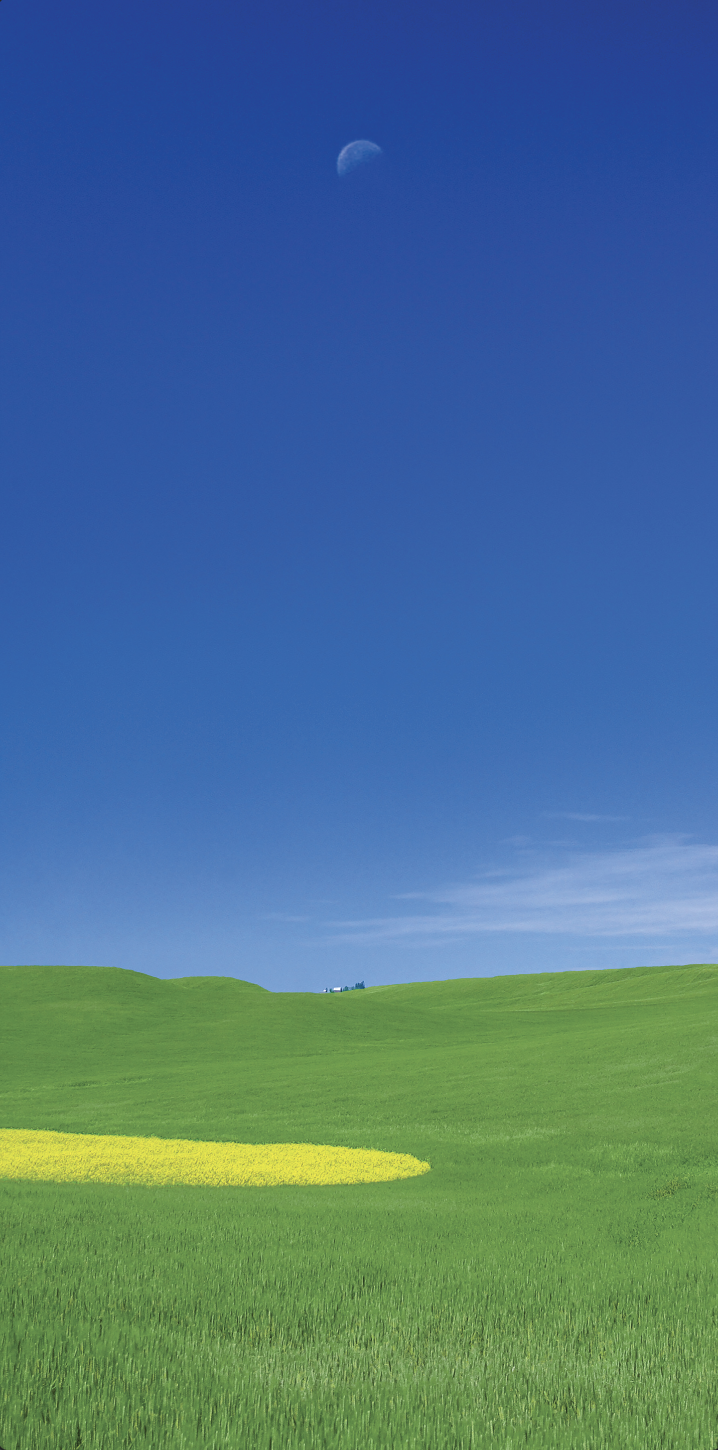 David W Brown: Landscape Image