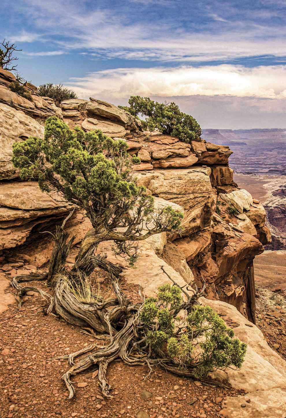 David W Brown: Landscape Image