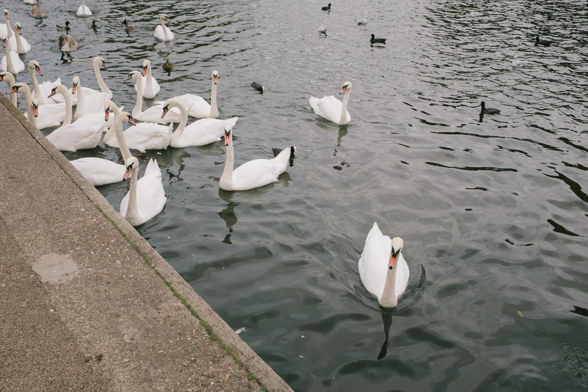 DSCF1793.jpg