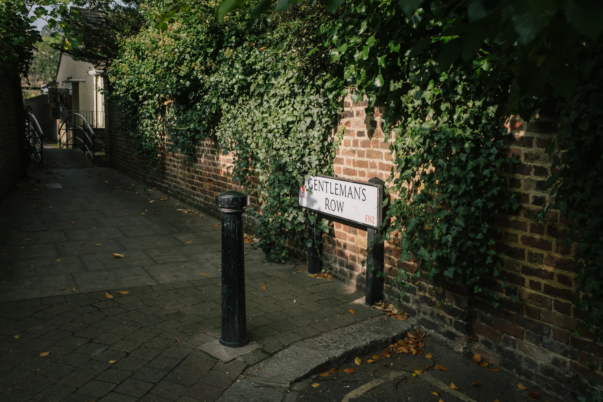 DSCF3231.jpg