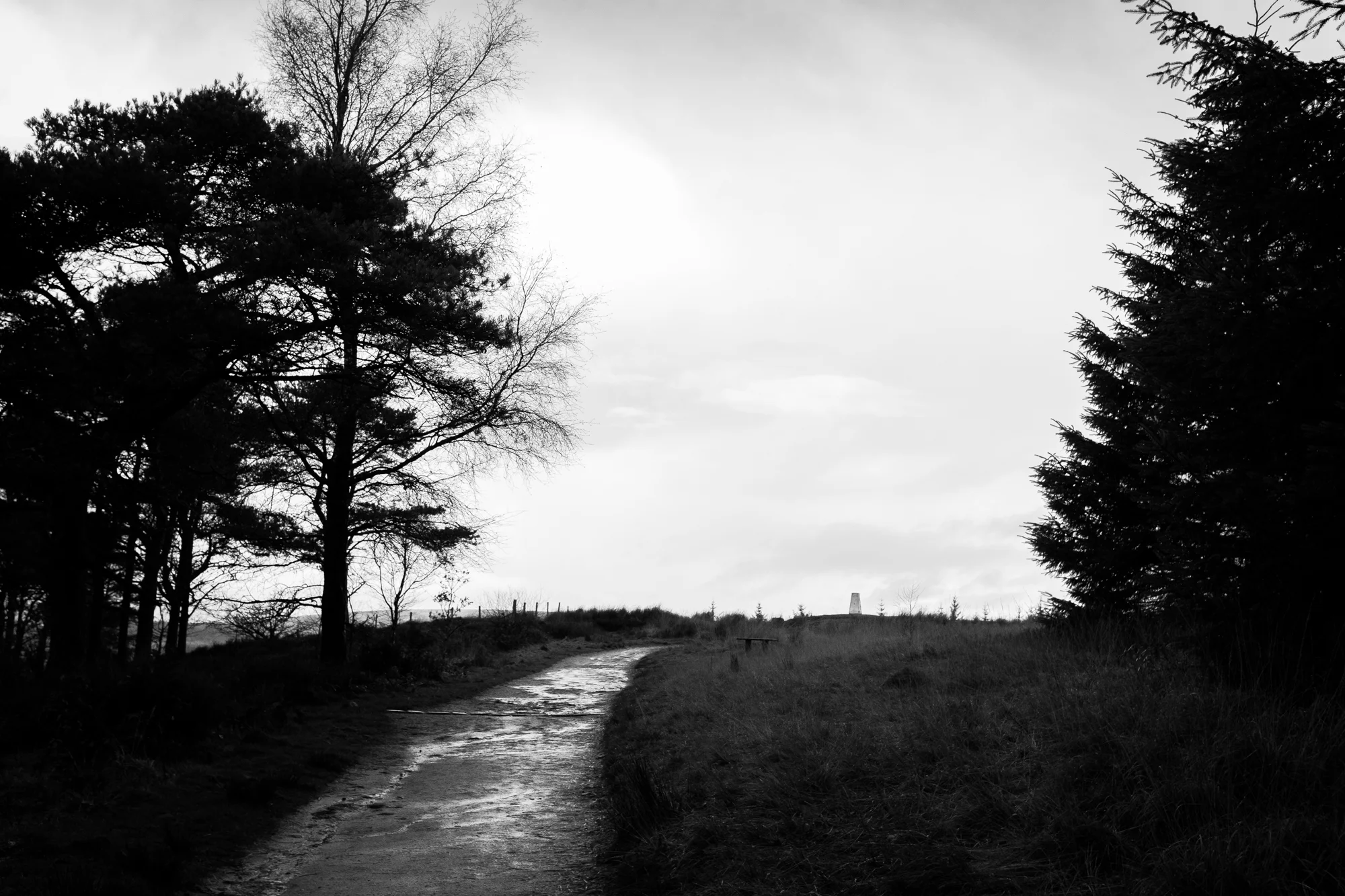DSCF7368.jpg