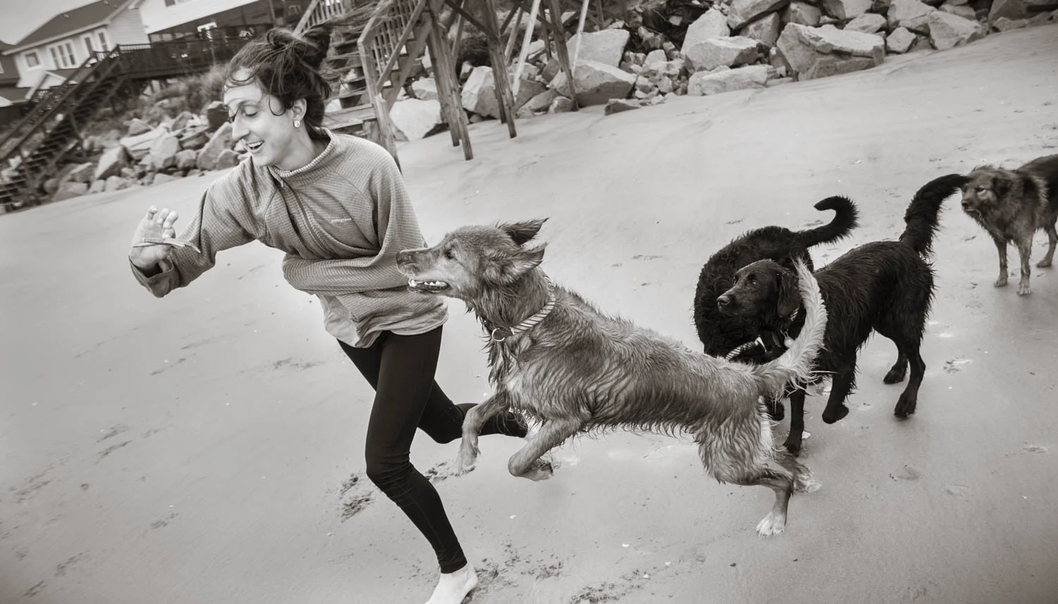 18_PatriciaLake_web site_dogs_150_-1500361.jpg
