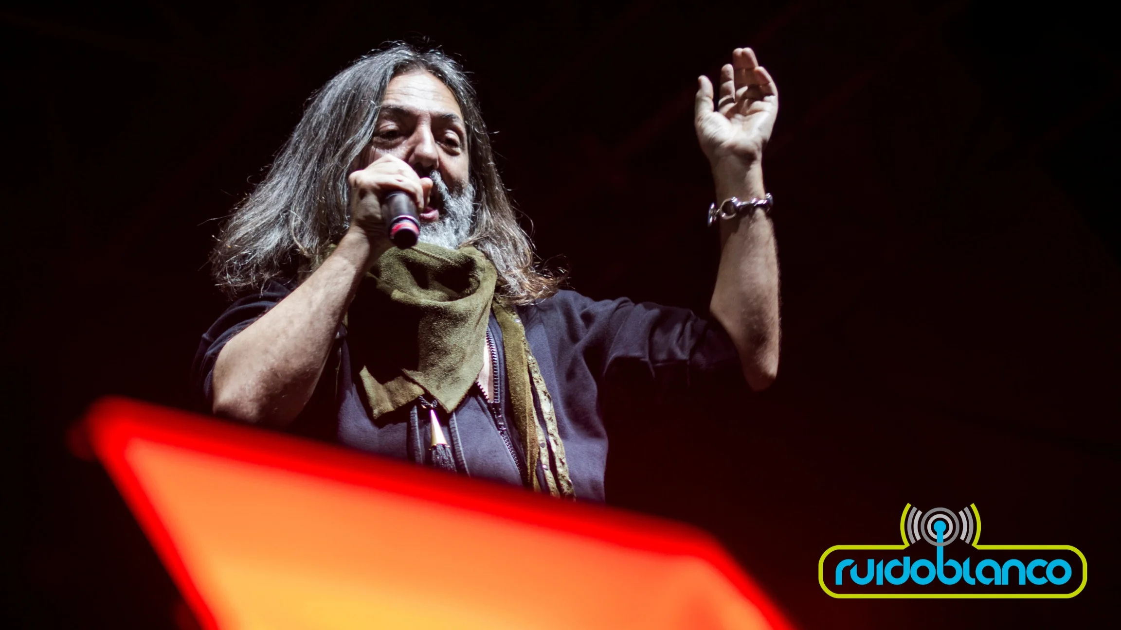 Babasónicos, Porter y Bengala, navegaron con fuerza en el Naucalli