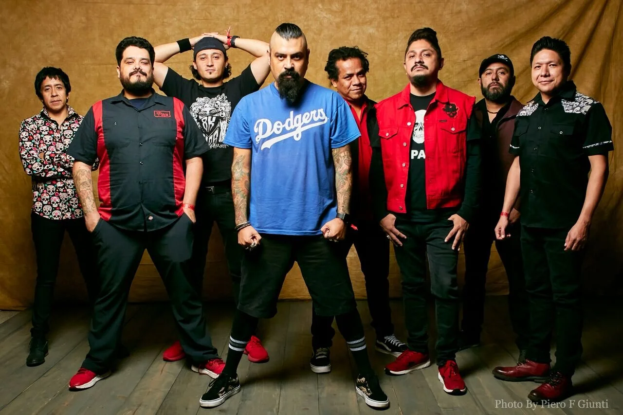 Sobreviviré, Panteón Rococó y su nuevo sencillo 