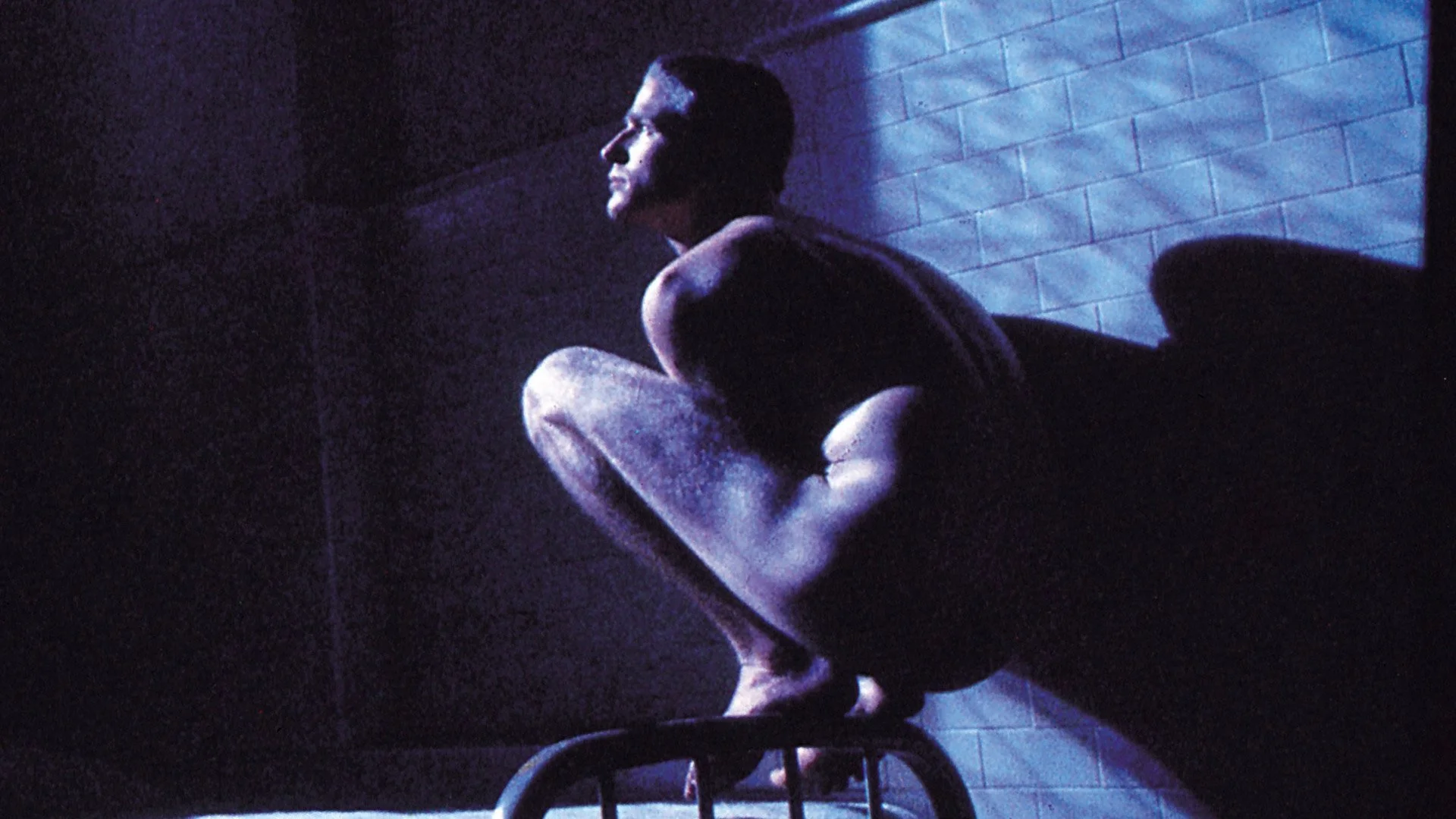 Alas de Libertad (Birdy)