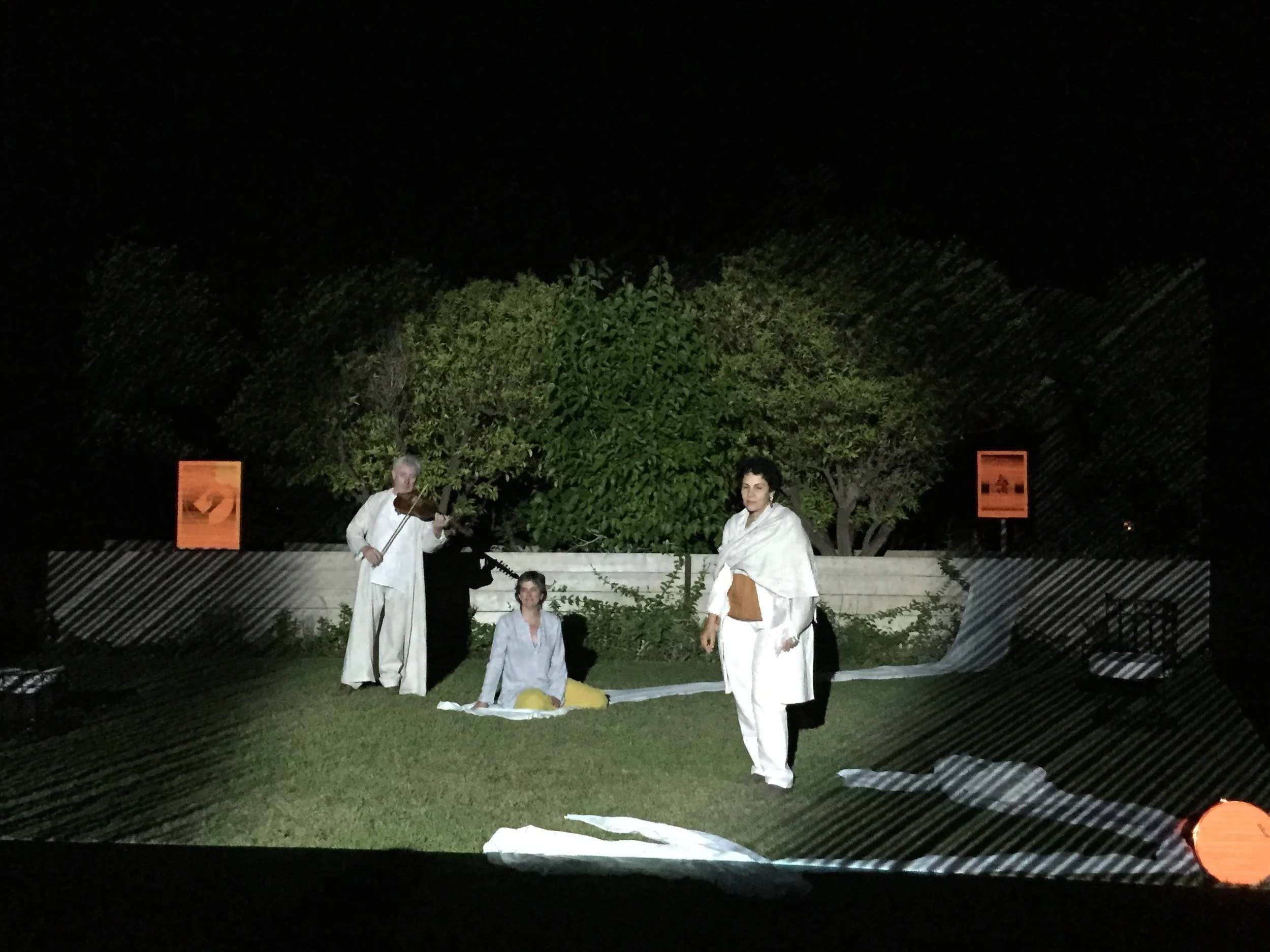 IMG_2272.jpg