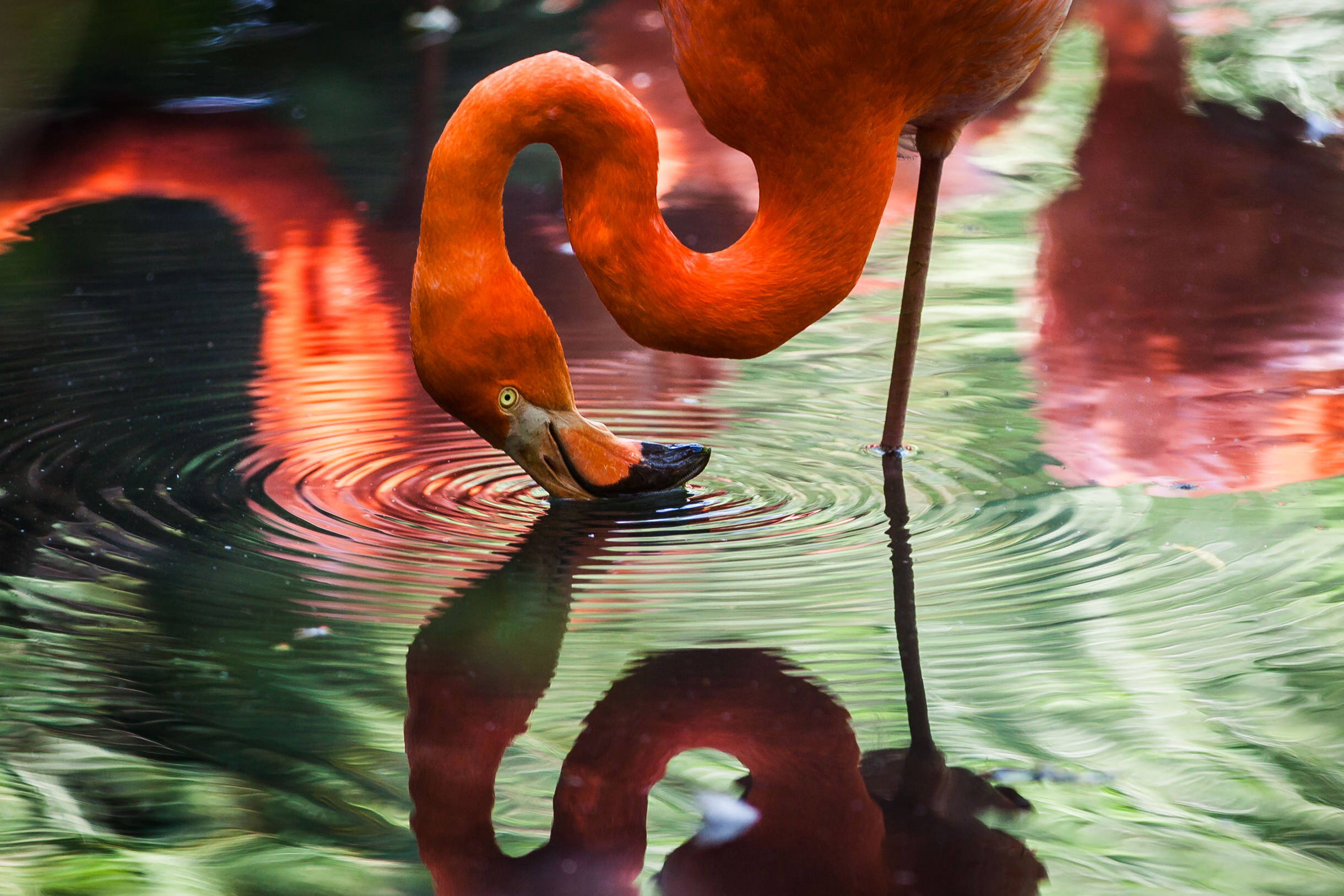 Rio Reflections... (Image credit: Unsplash)