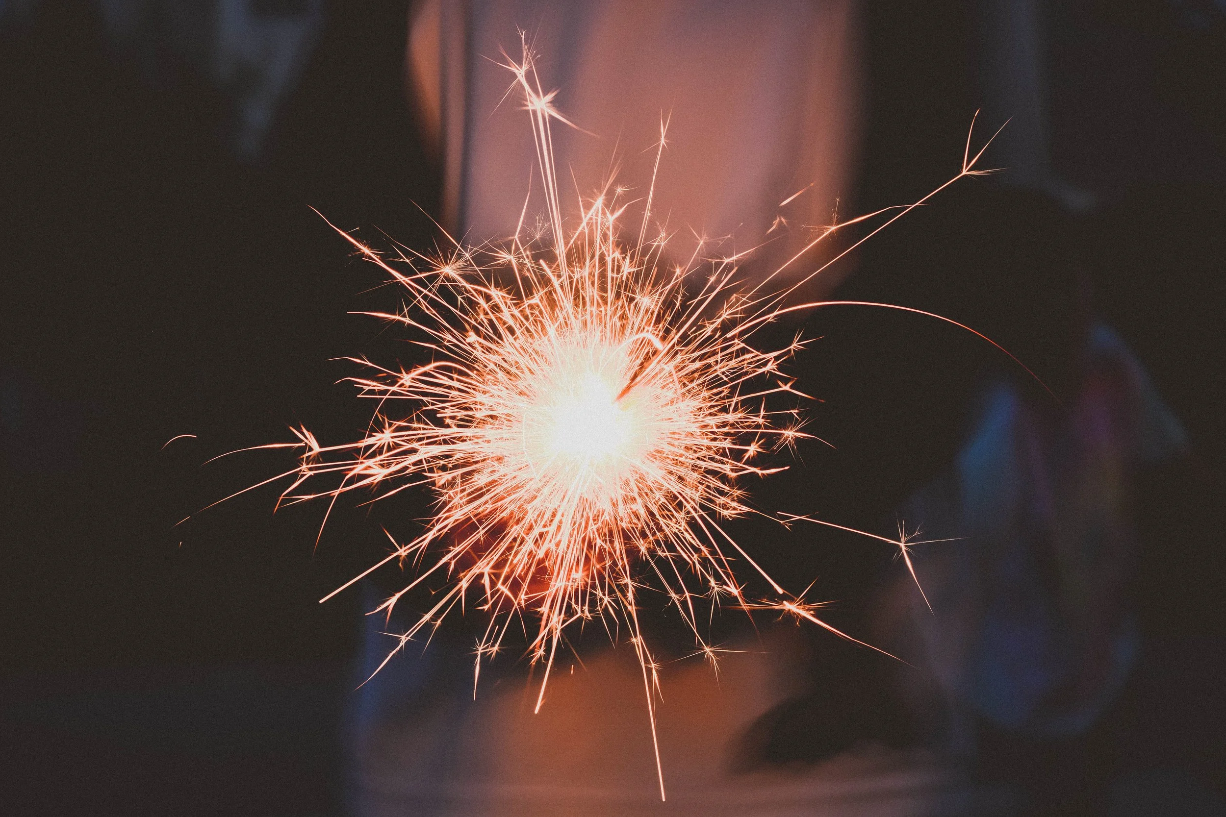 image credit: Unsplash
