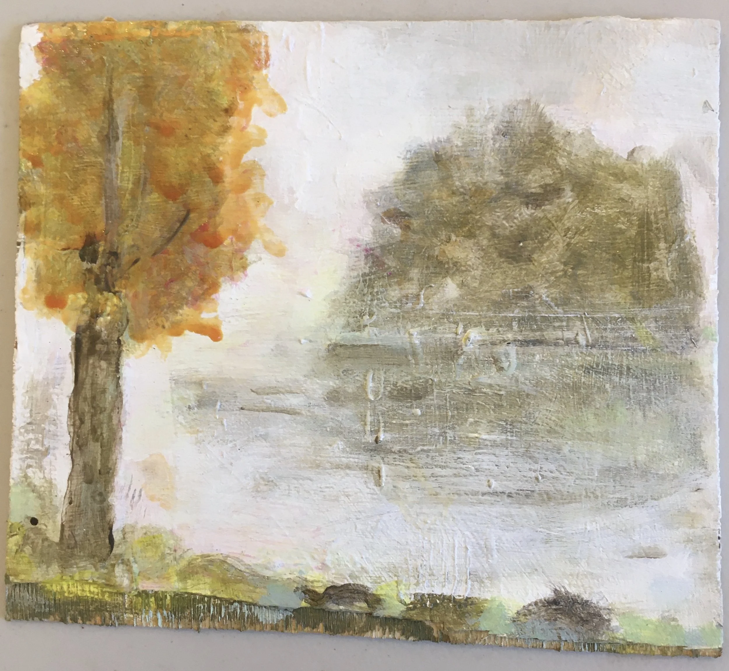 Fall Morning - Rabbit Island.JPG