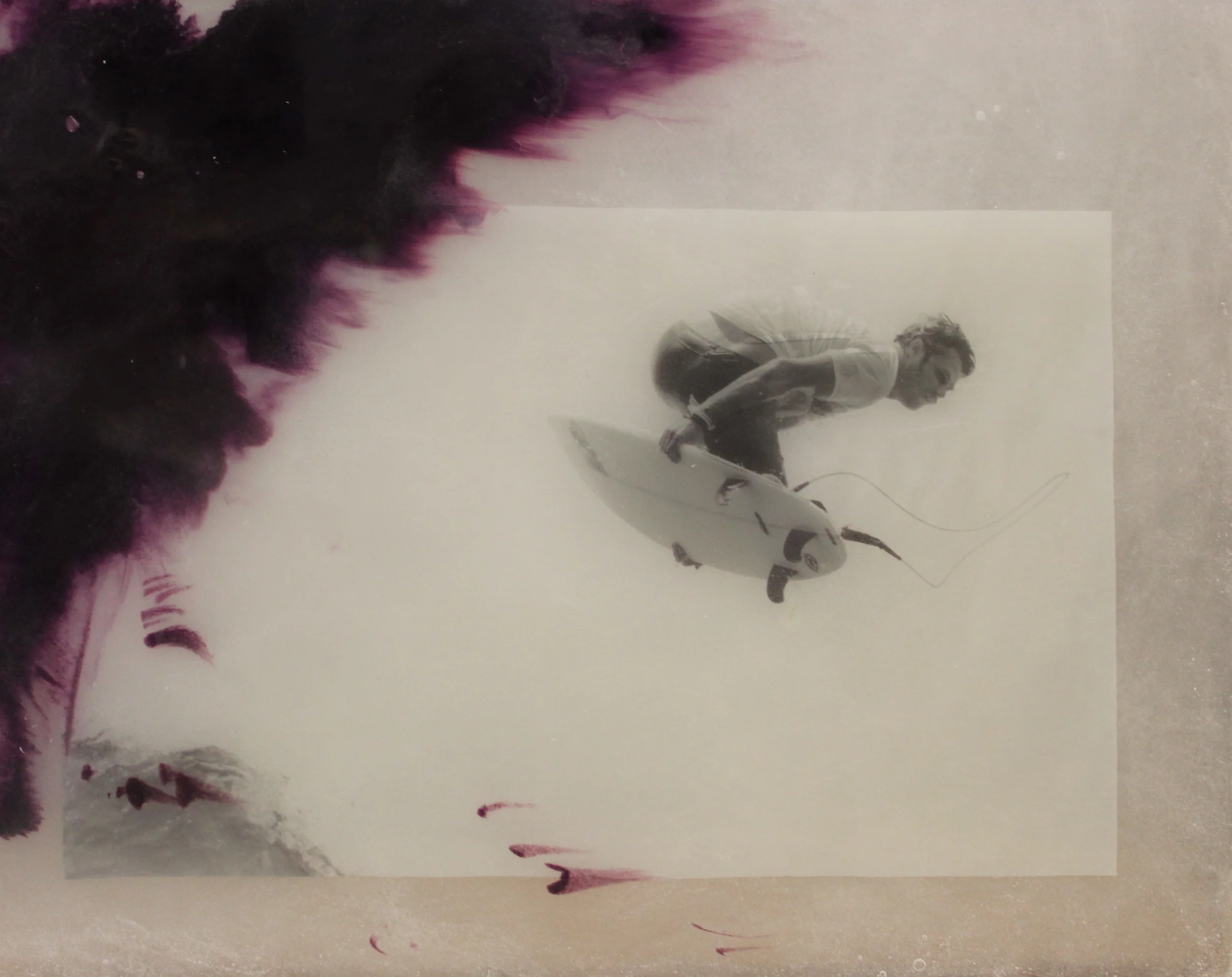 Blakeney Sanford - Dane panel horizontal.JPG