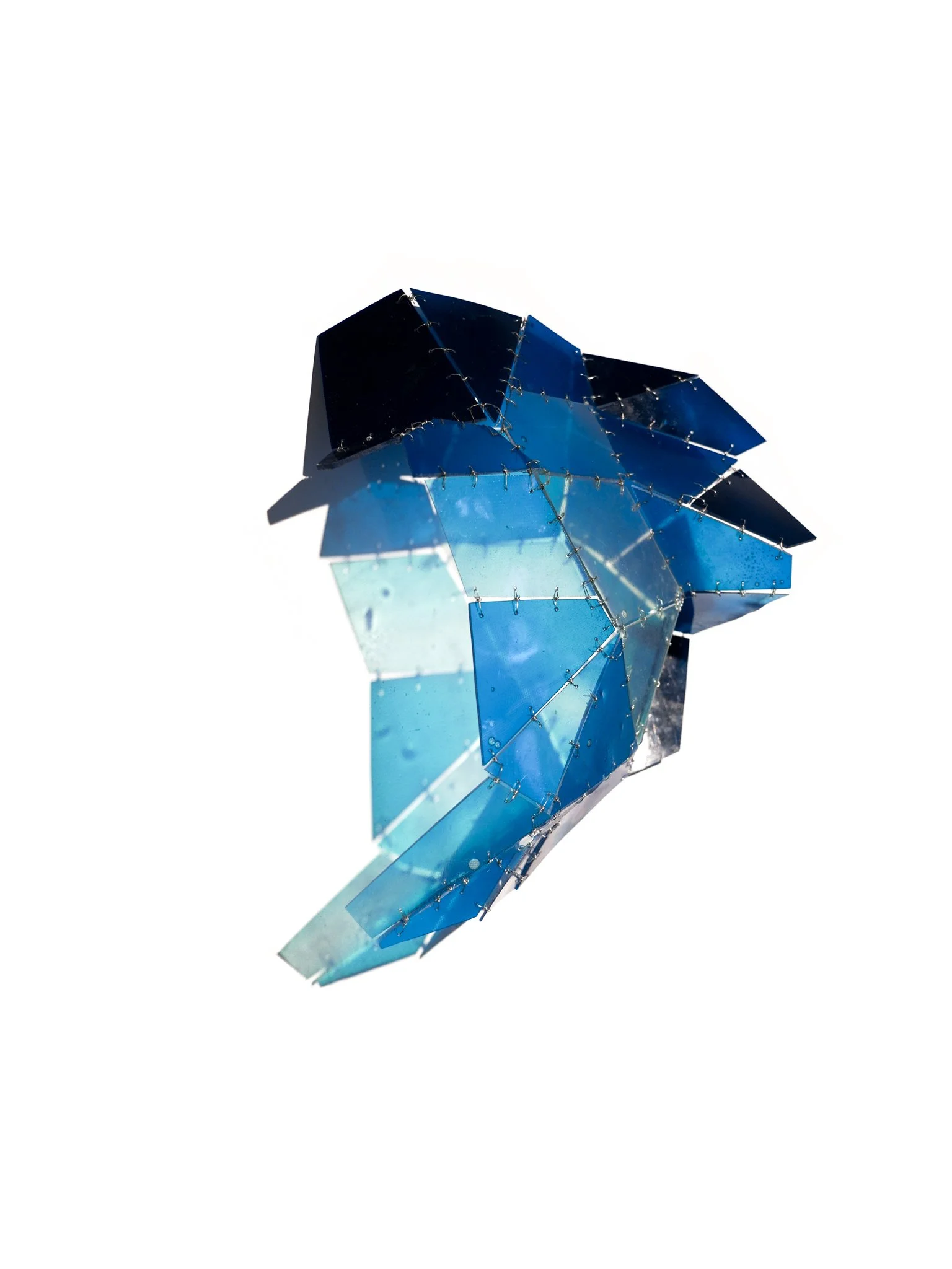 Facet Study 2