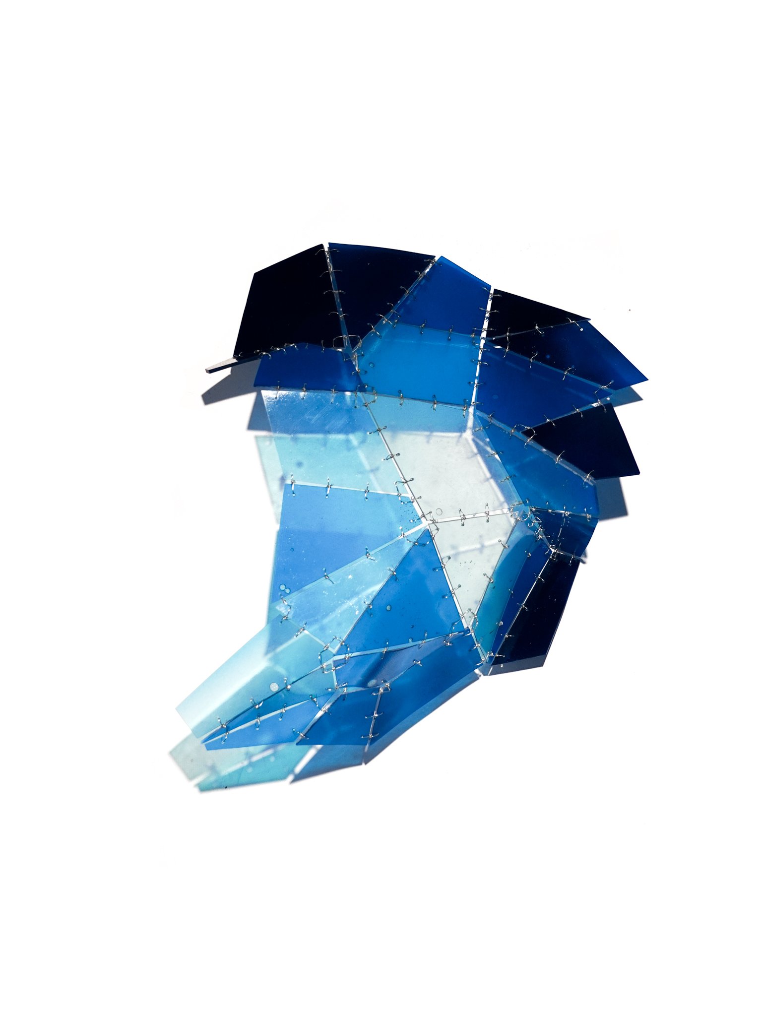 Facet Study 2_Blakeney Sanford_cropped-2.jpg