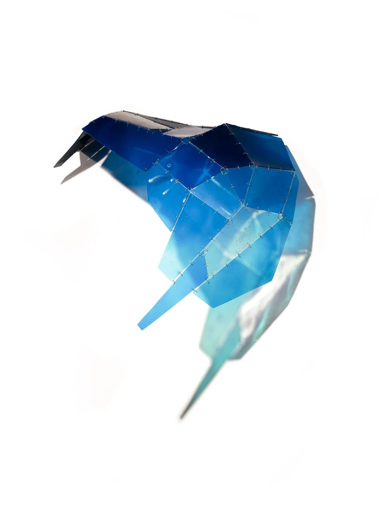 Facet Study 1_Blakeney Sanford_cropped-6.jpg