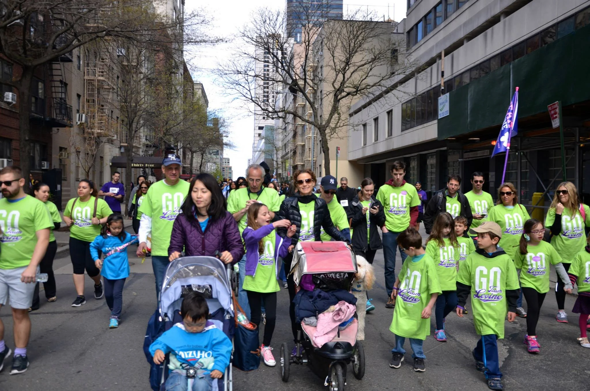team-levine-walkers-at-the-2015-march-for-babies-walk_16730042310_o.jpg