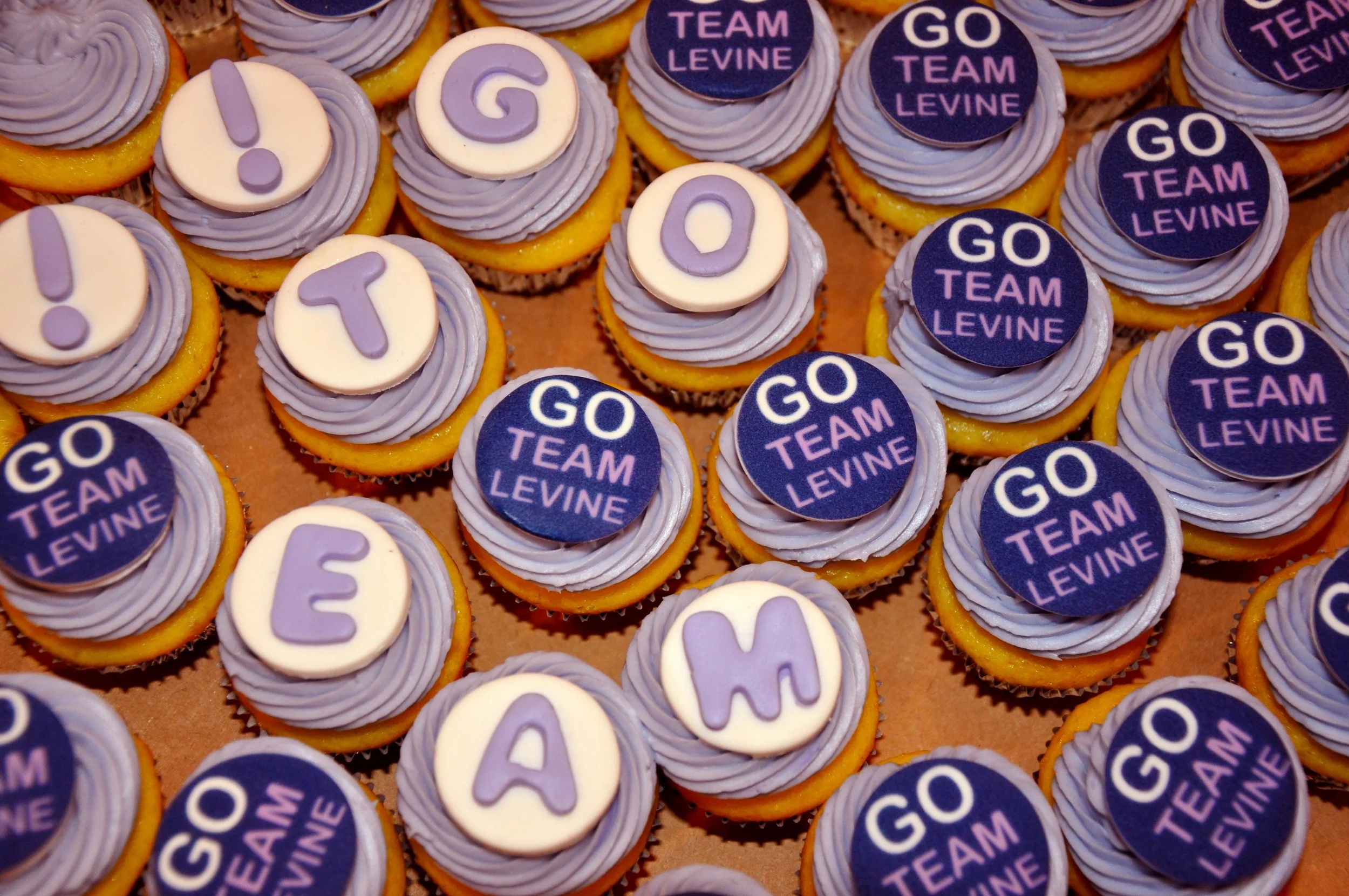 team-levine-cupcakes_6870271908_o.jpg