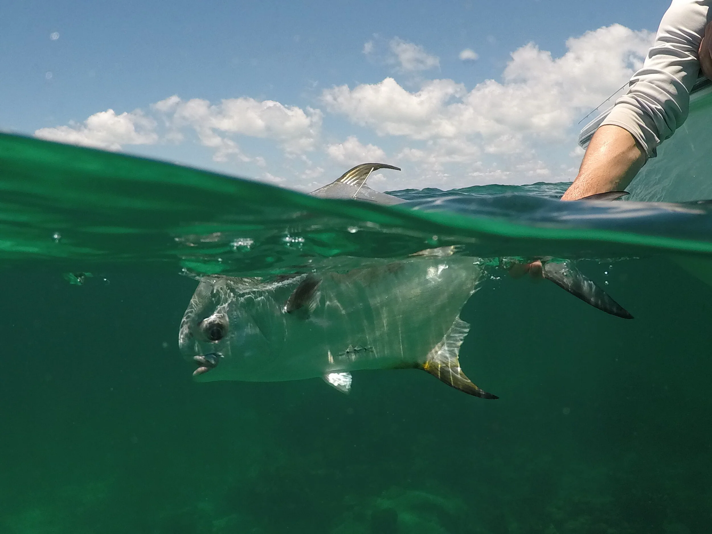 Permit FL Keys Release.JPG