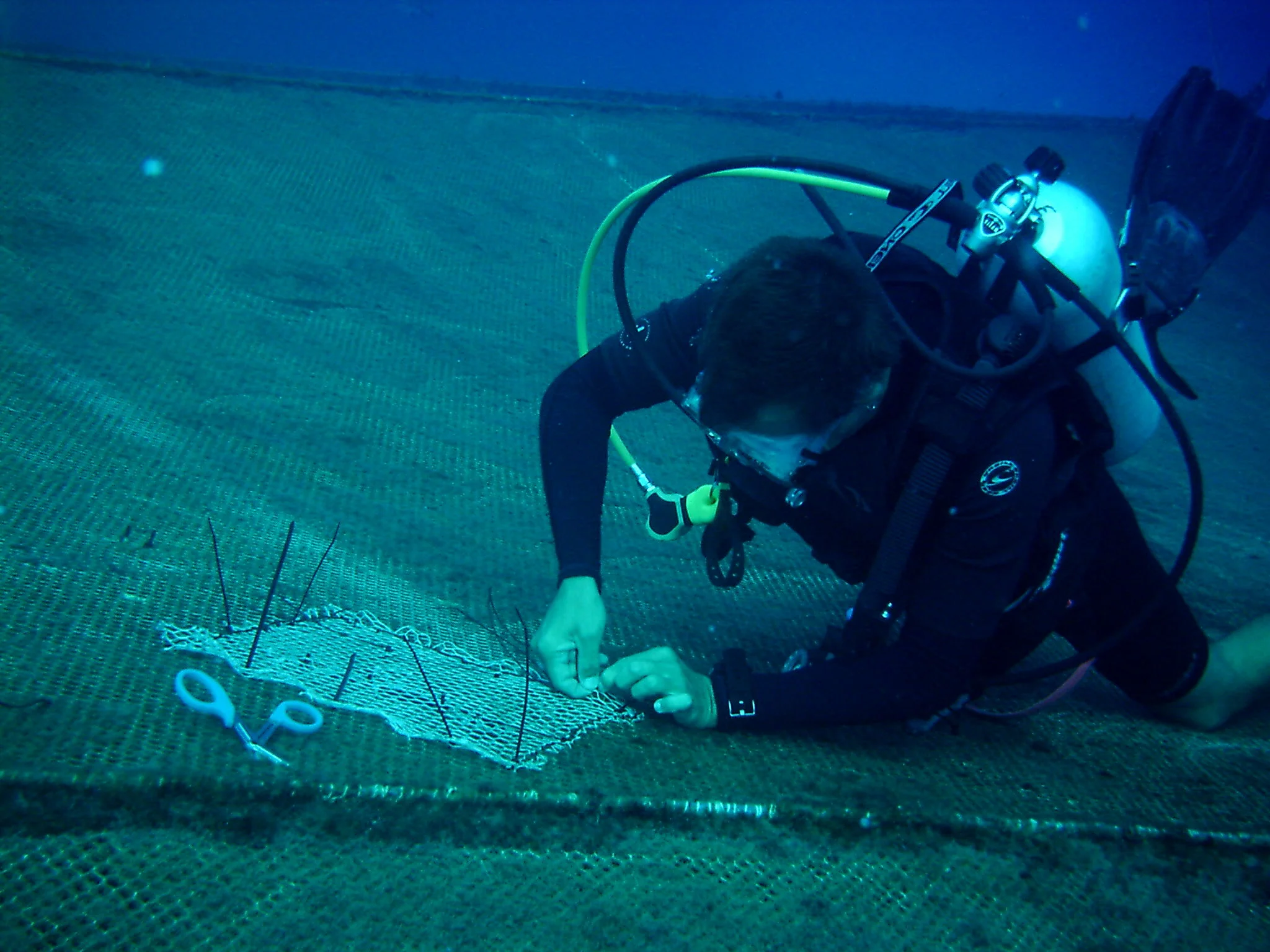 Andy mending cage.JPG