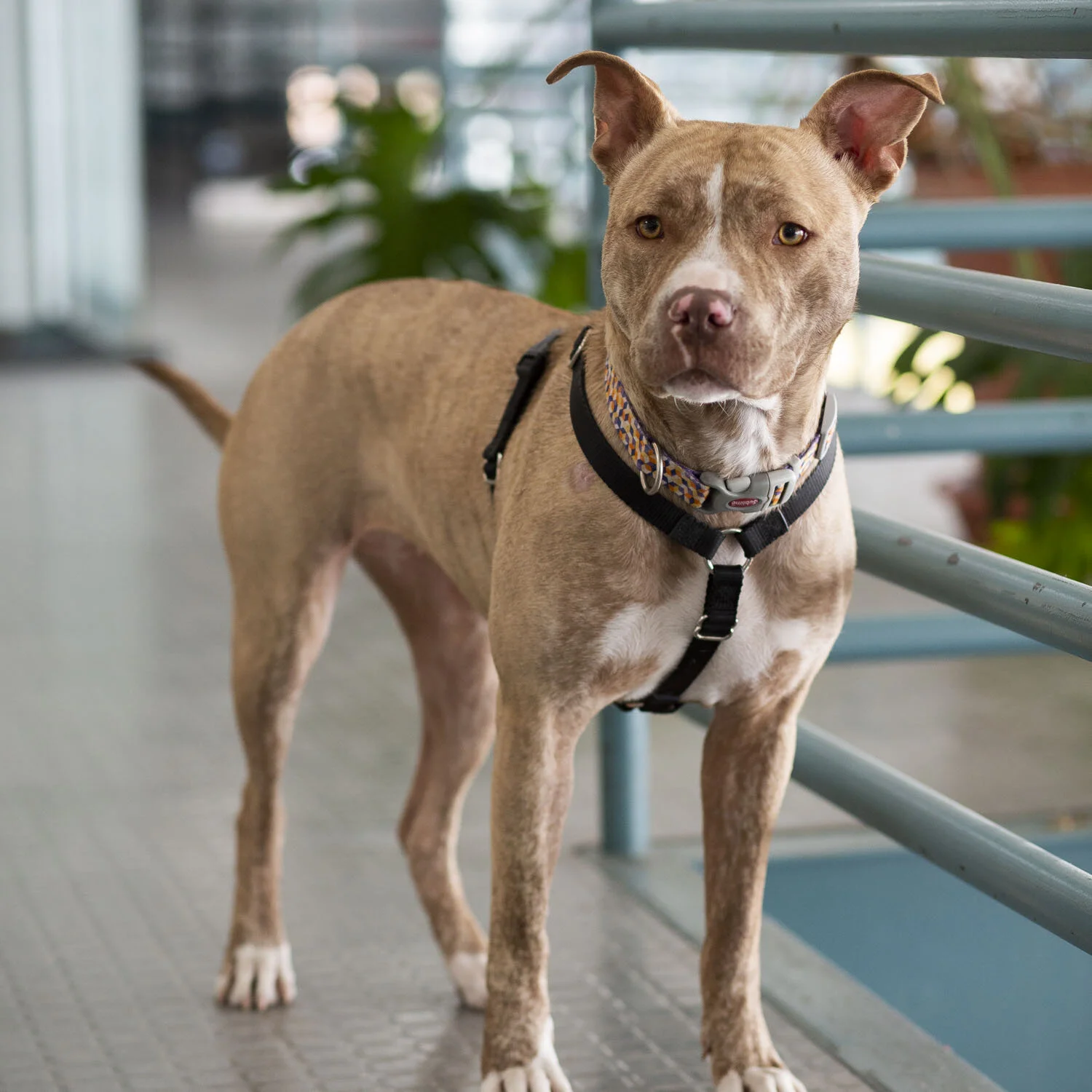 Auriel-website photo.JPG