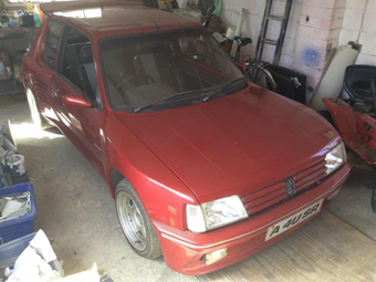 Peugeot 205 GTI Dimma