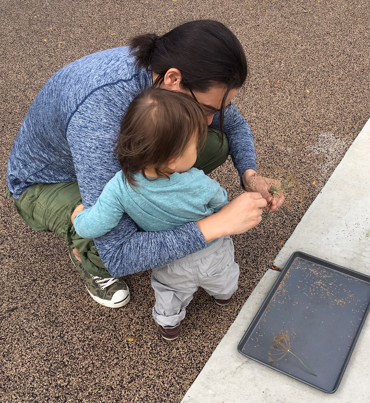 Maplewood and Lucy Flower Parks work with a broad range of ages and abilities. Join in and we promise to find a way to help you make a difference!