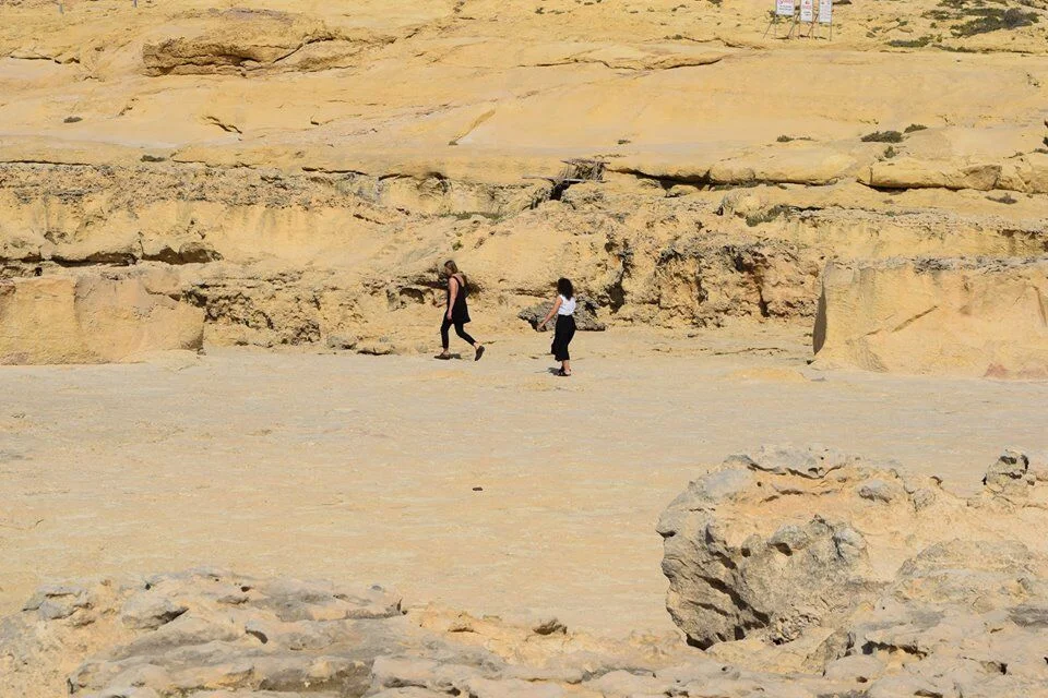 Open Call for curators and researchers for 'A Natural Oasis?'