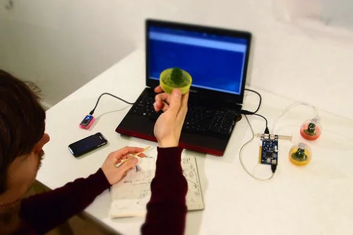 Institute For Boundary Interactions