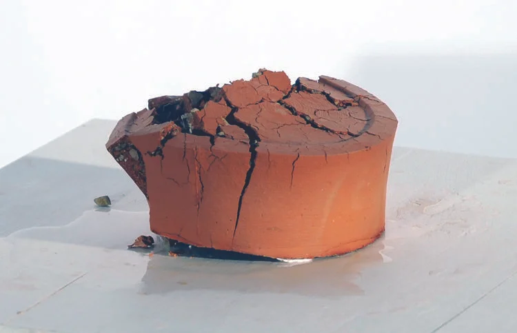 Kate Boccaccini Meadows