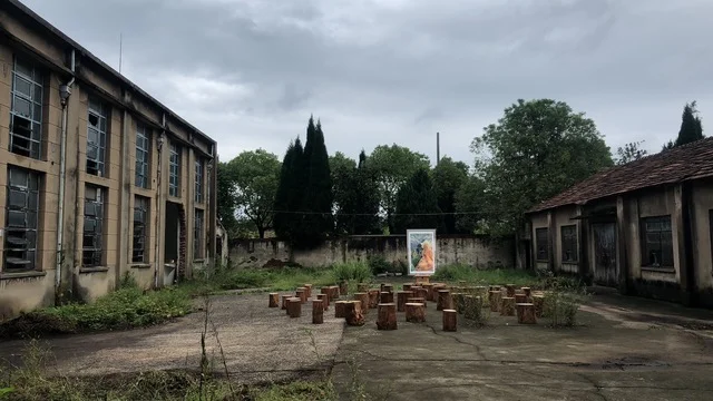 Artshake International Gathering: Shanghai 2019 - Meet the Artists 