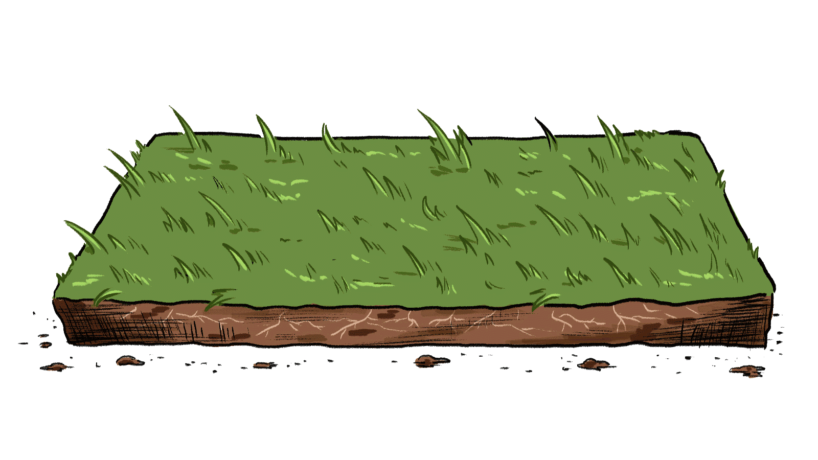 Changing grass.gif