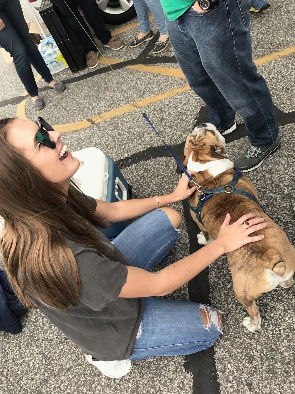 I chased this bulldog across the lot, but you don't have to chase me.